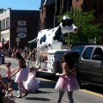 Brattleboro, VT-Strolling of the Heifers Parade
